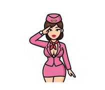 Air Hostess Escort in Dwarka